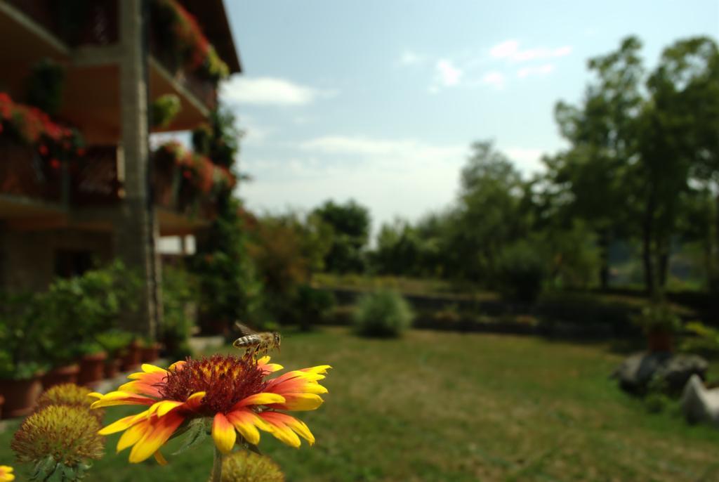 Guest House Nena Rastoke Slunj Bagian luar foto